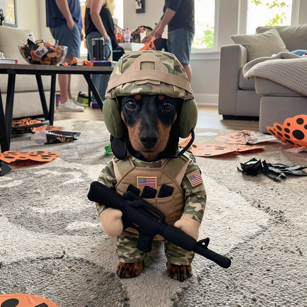 Dog in the soldier costume at a family Halloween party